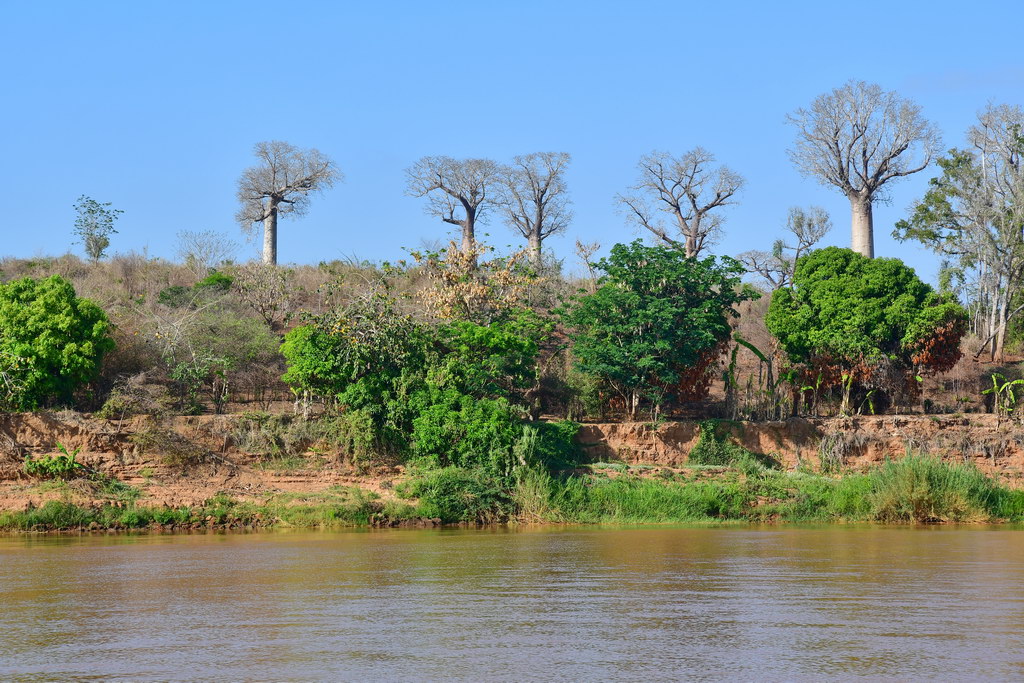 Tsiribihina River Descent